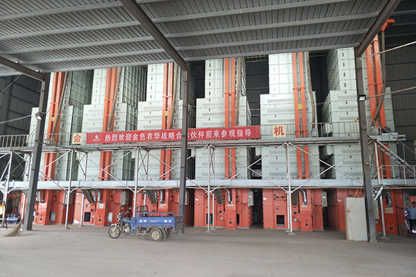 6臺30噸谷物烘干機組 